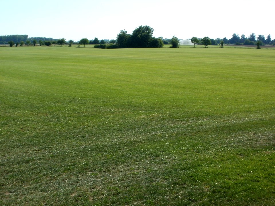 20110627Rasenfeld_Reilingen2