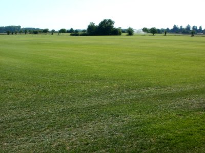 20110627Rasenfeld_Reilingen2