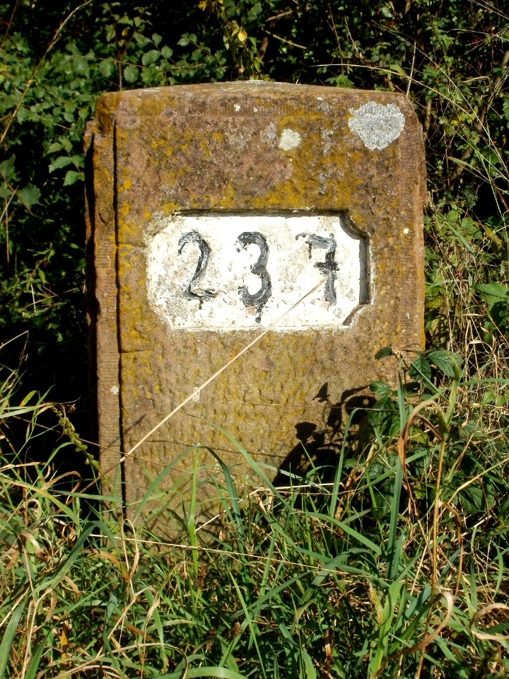 20110914Alter_Rheinkilometer237_2