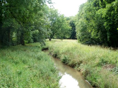 20110623Hartbach