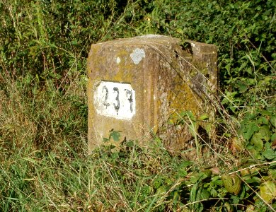 20110914Alter_Rheinkilometer237_1