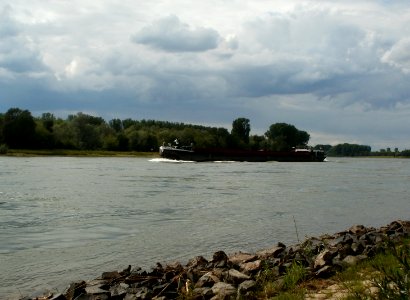 20110624Rhein_Altlussheim3