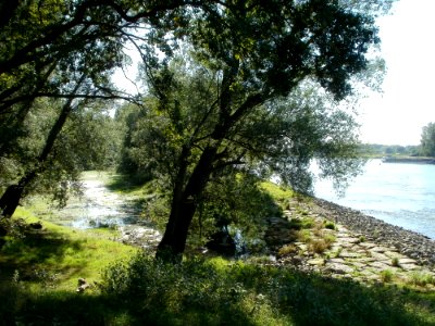 20110914Speyerer_Gruen06