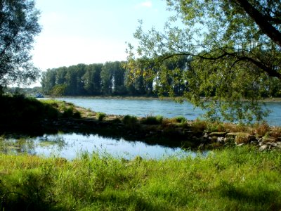 20110914Speyerer_Gruen03