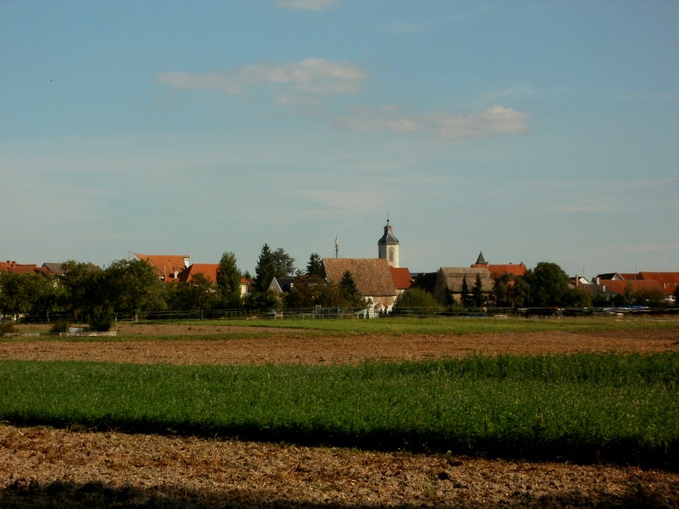 20110915Altlussheim20