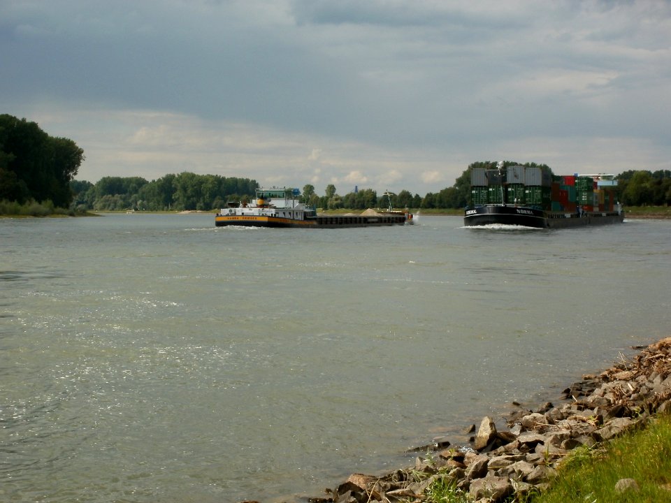 20110624Rhein_Altlussheim4