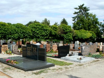 20110624Friedhof_Altlussheim