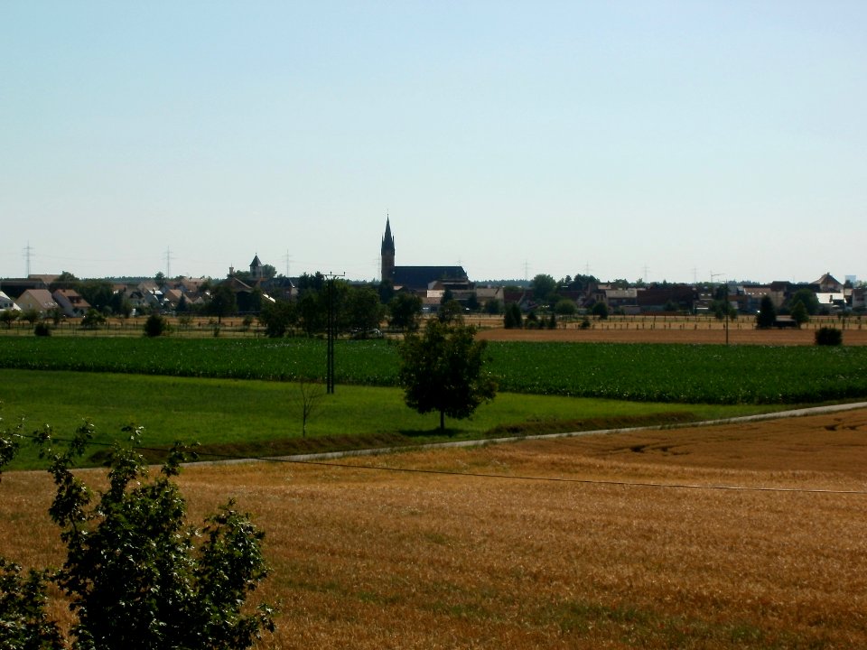 20110627Reilingen