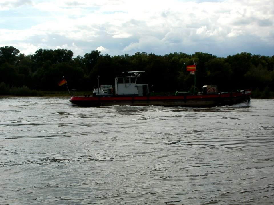 20110624Rhein_Altlussheim2