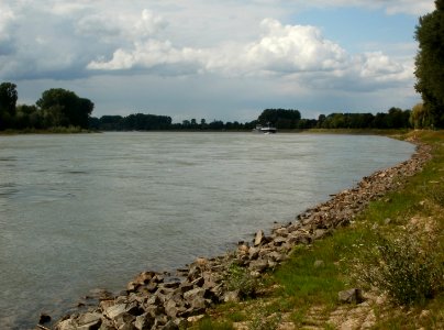 20110624Rhein_Altlussheim1