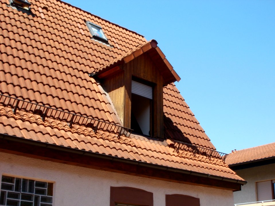 20110627Dachgaube_Ludwigstr_Hockenheim