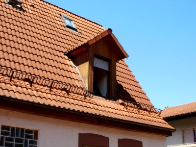 20110627Dachgaube_Ludwigstr_Hockenheim