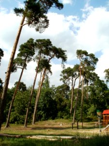 20110630Schwetzinger_Hart19
