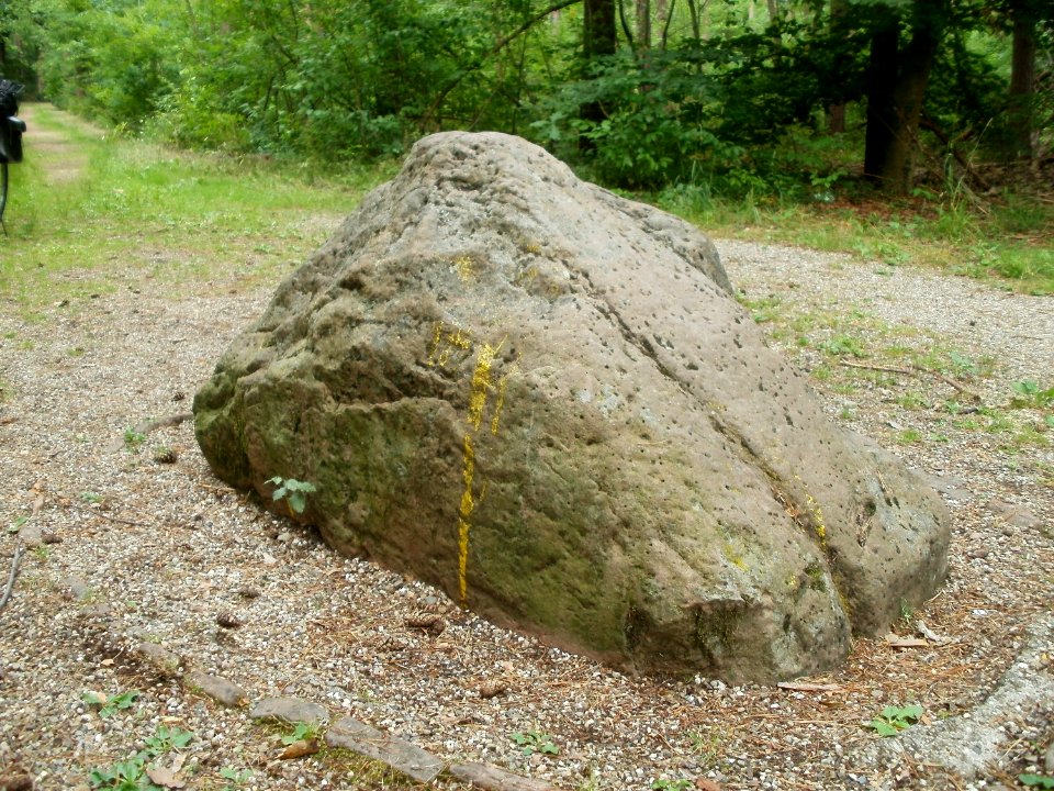 20110630Huenenstein_Sandhausen3