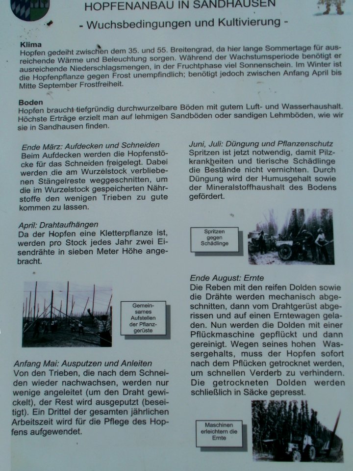 20110630Hopfenlehrpfad_Sandhausen19