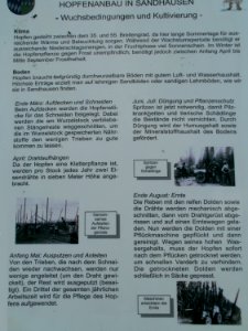 20110630Hopfenlehrpfad_Sandhausen19