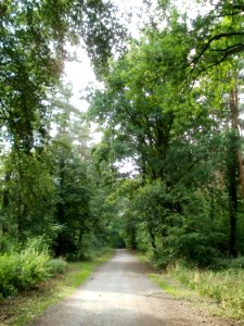 20110630Postweg_Sandhausen