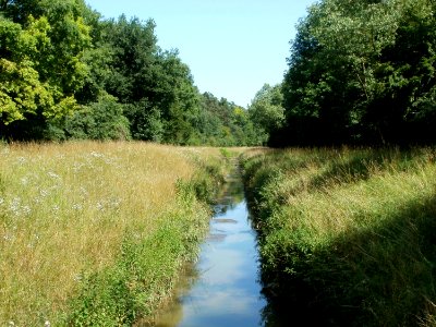 20110628Hartbach_Schwetzinger_Hart