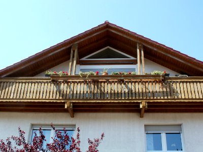 20110628Birkenallee_Hockenheim