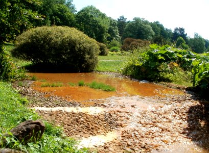 20110605Deutsch-Franzoesischer_Garten5