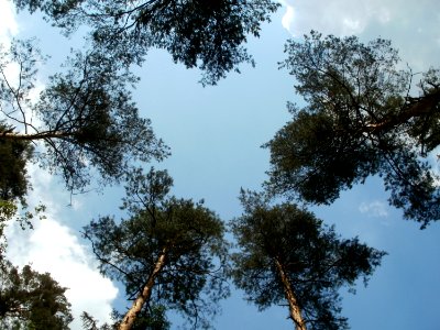 20110630Schwetzinger_Hart10