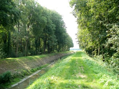 20110630Hartbach_Schwetzinger_Hart2