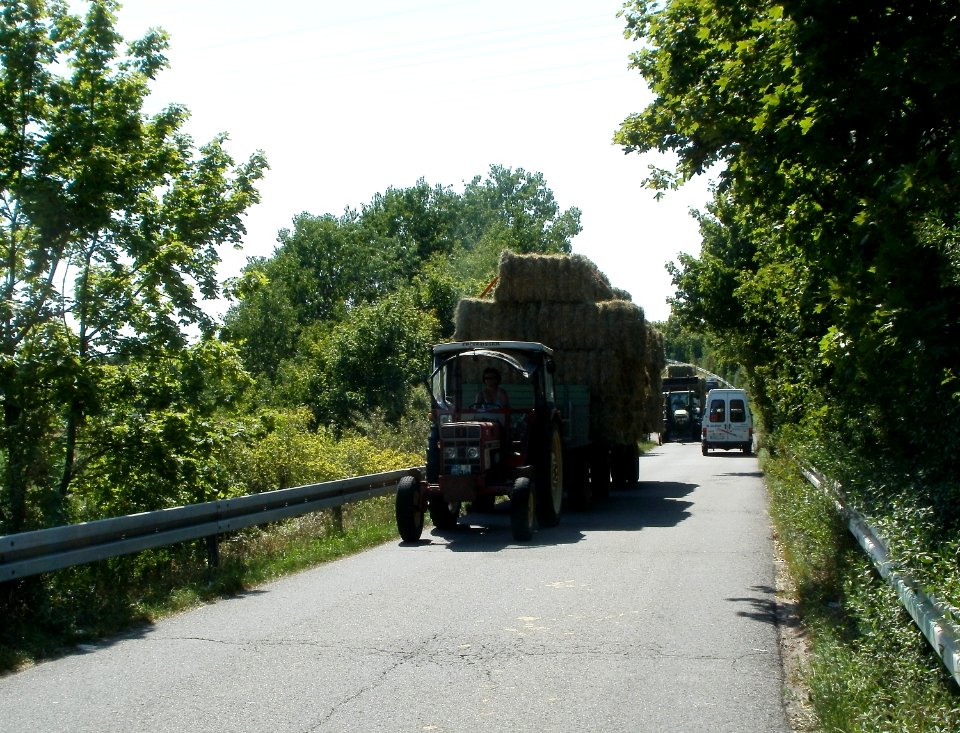 20110628Heutransport_Ketsch