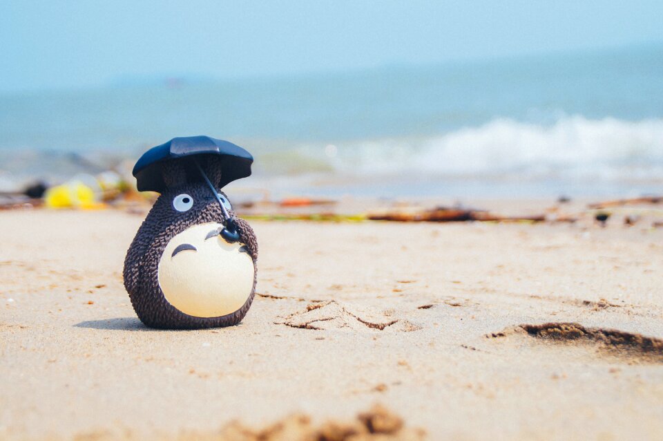 Beach decoration Free photos