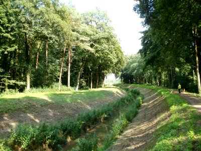 20110630Schwetzinger_Hart28