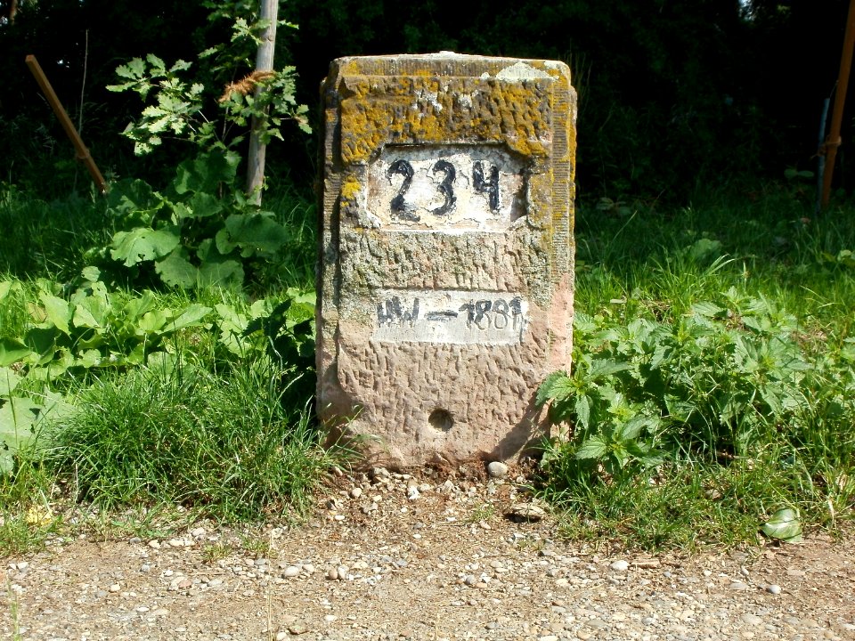 20110607Alter_Rheinkilometer234_3
