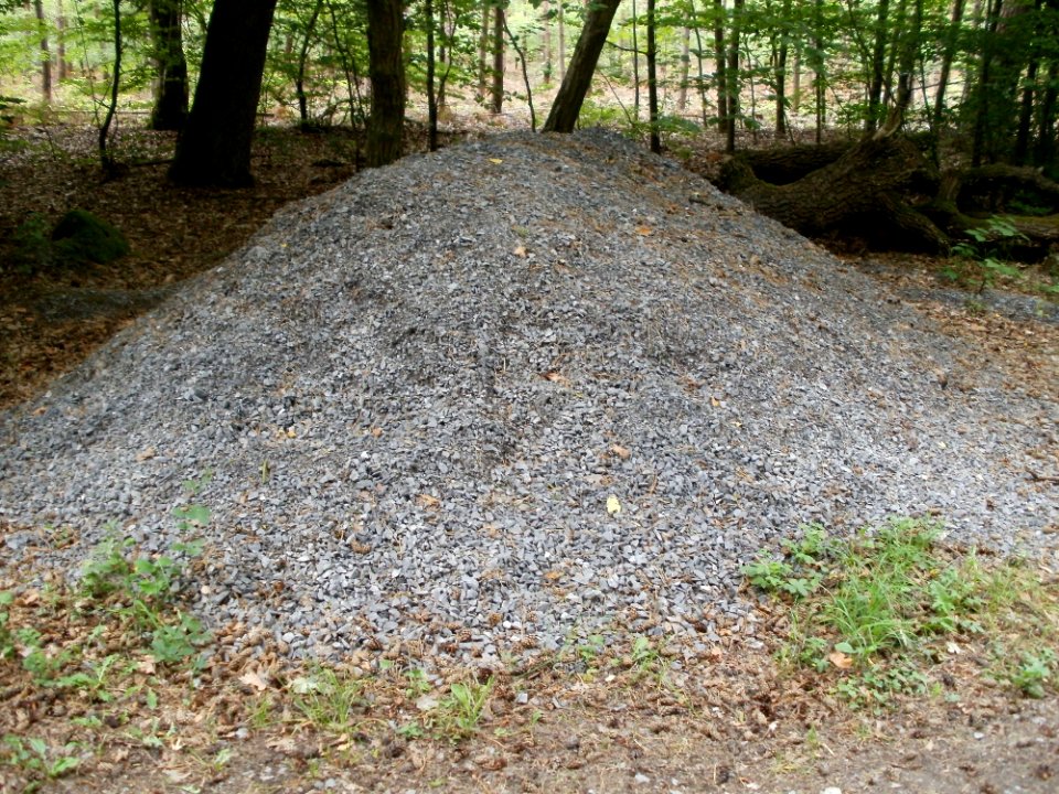 20110630Steinlaushuegel