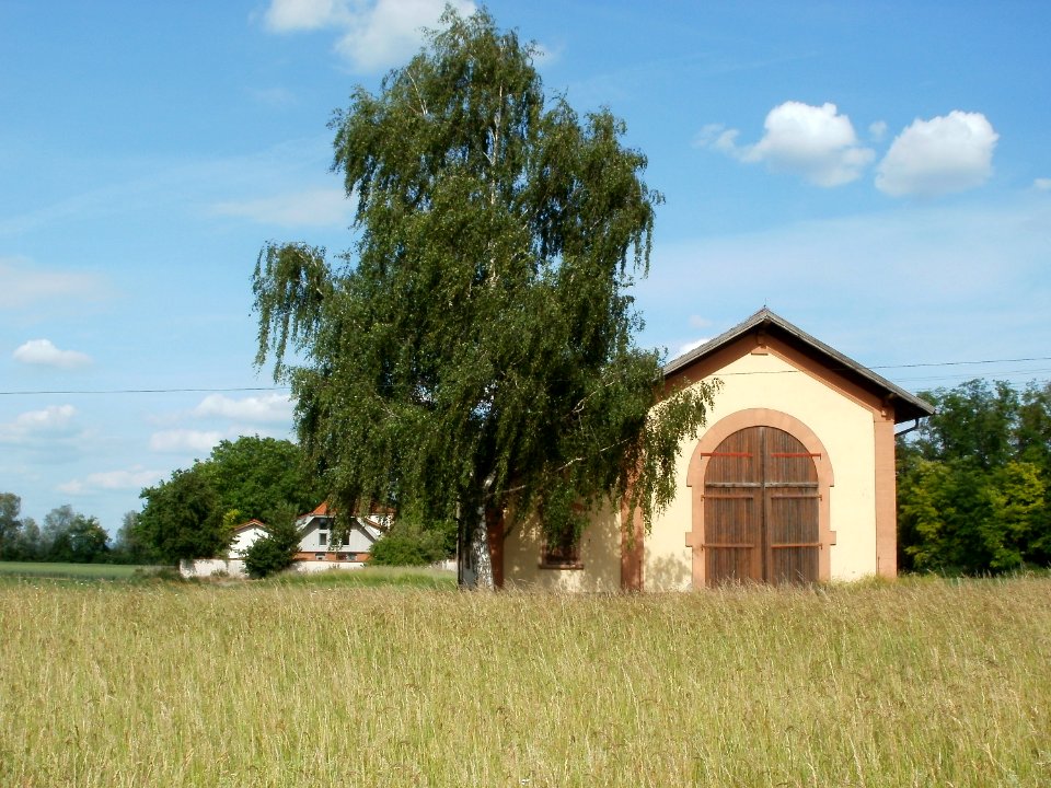 20110528Lockschuppen_Lusshof3
