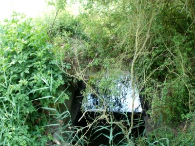 20110528Giessgrabenbruecke_Hockenheim1