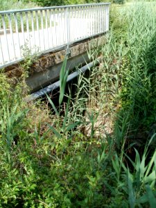 20110528Giessgrabenbruecke_Hockenheim3