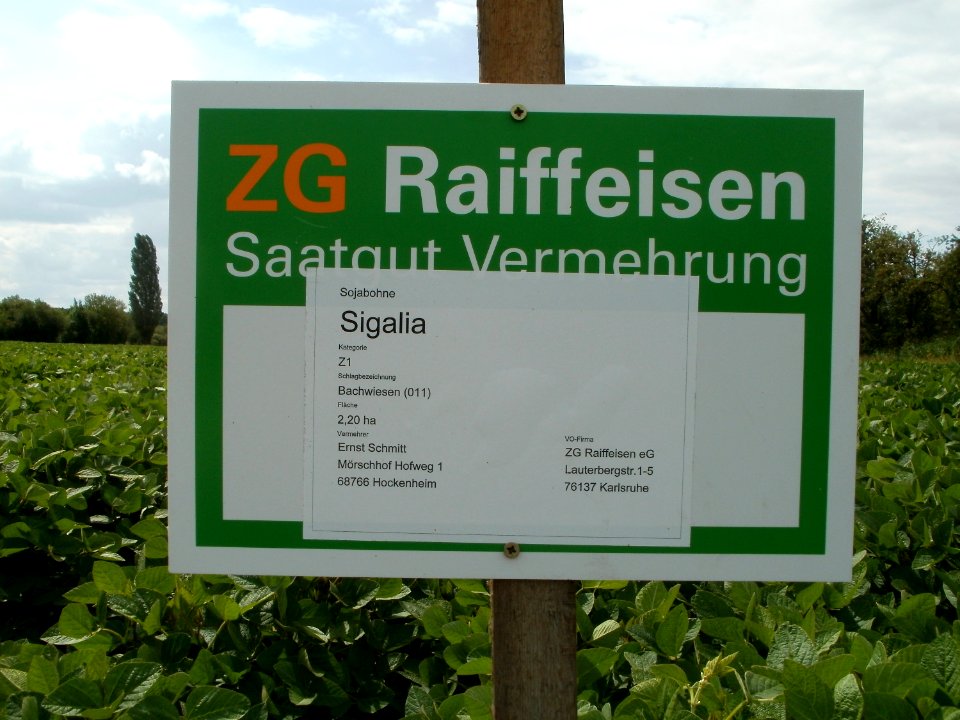 20110702Sojafeld_Hockenheim1