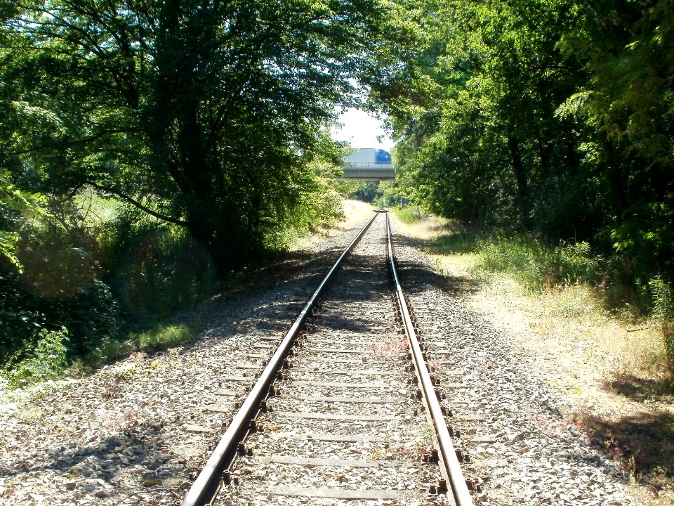 20110525Bahnstrecke_Heidelberg-Speyer_am_Hartbach6