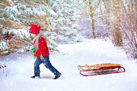 Young boy little boy boy pulling sled photo