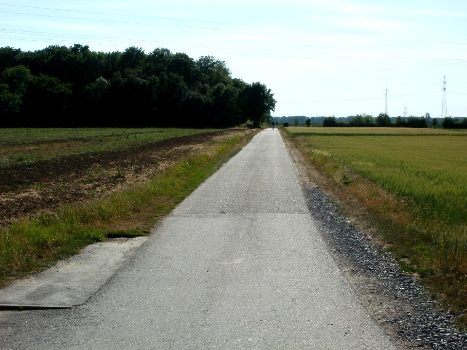 20110529Schlossachse_Schwetzingen1
