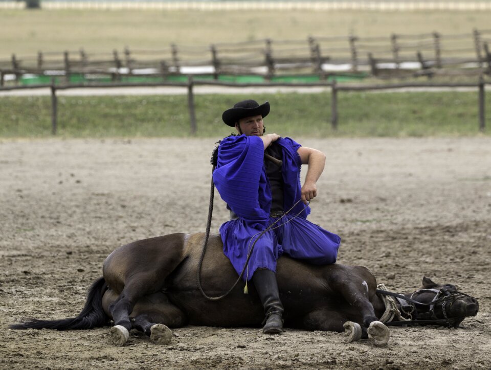 Equestrian demonstration prone horse seated horseman
