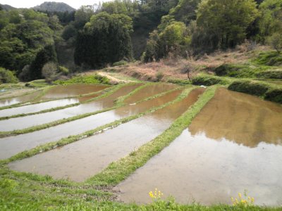 201105kamiseya1