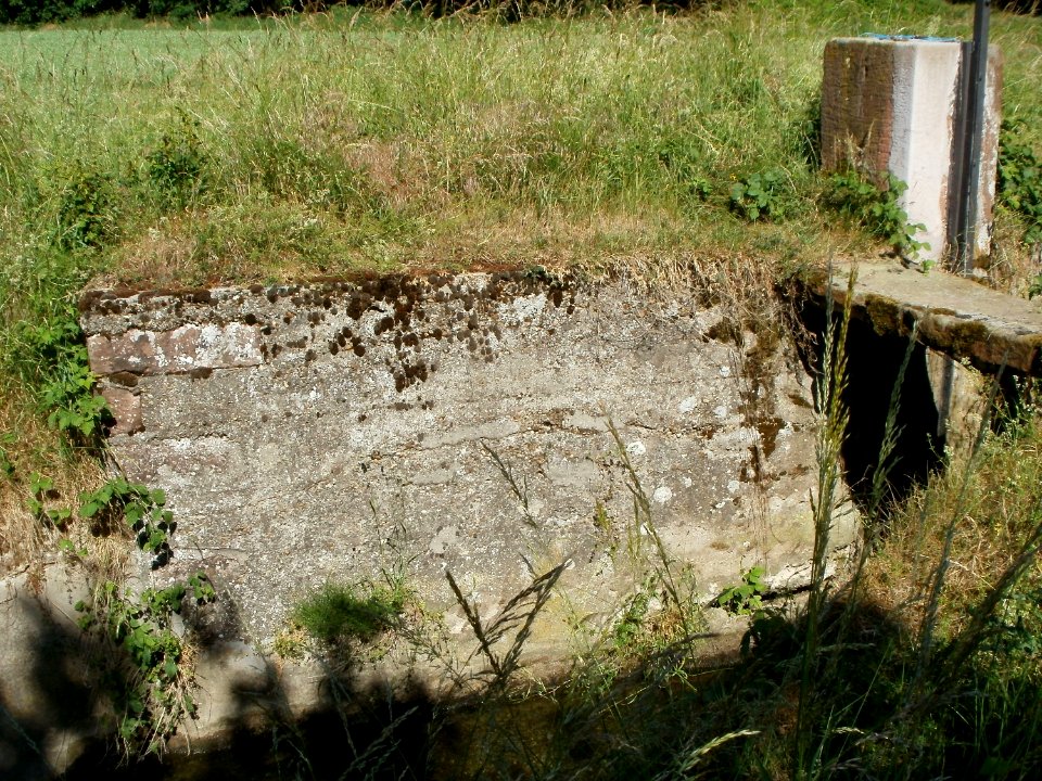 20110525Stauwehr_Hartbach_Hockenheim6