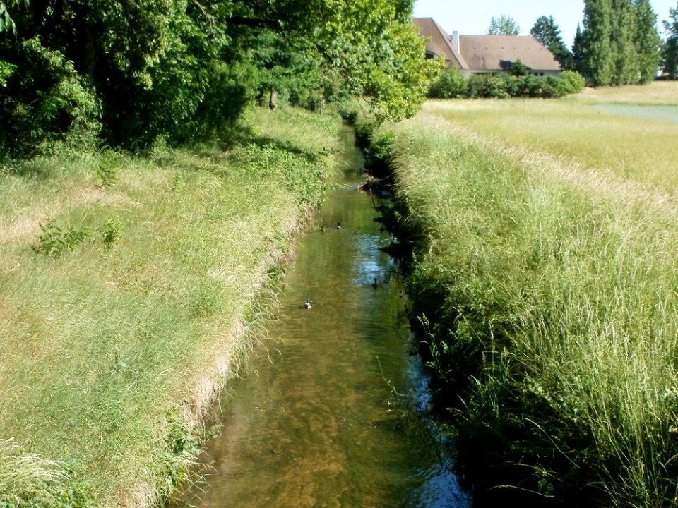 20110525Hartbach_Talhaus