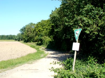 20110525Naturschutzgebiet_Bahndamm_Talhaus5