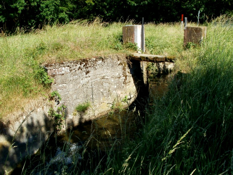 20110525Stauwehr_Hartbach_Hockenheim3