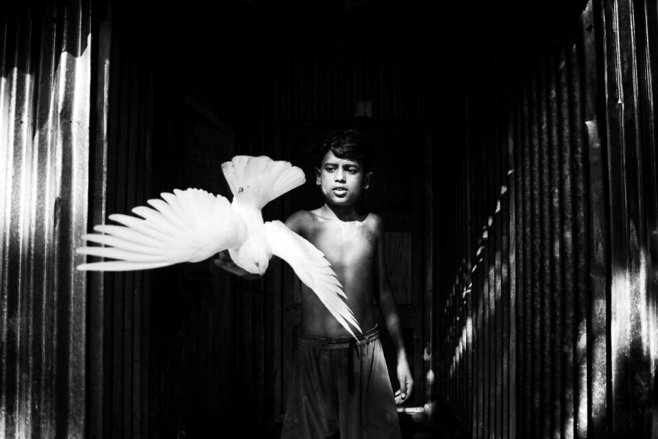 Pigeon blackandwhite blackandwhitephotography