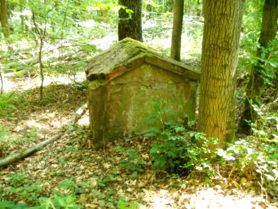 20110602Kirschheck_Saarbruecken2