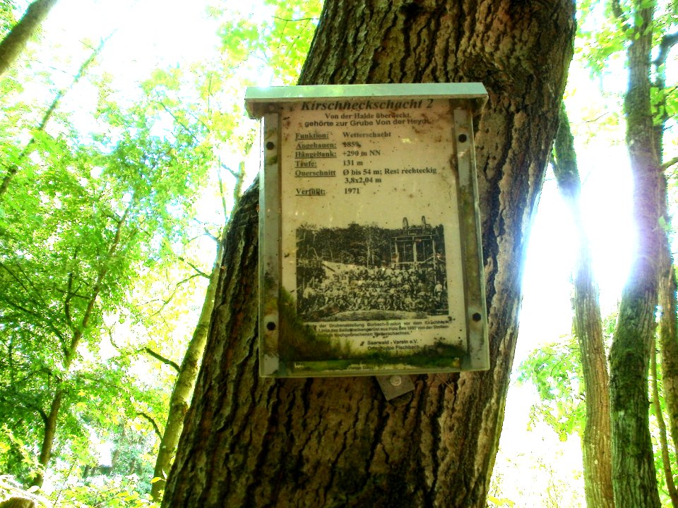 20110602Kirschheck_Saarbruecken4