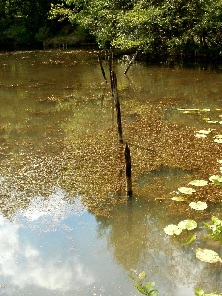 20110503Steinbachtal_Saarbruecken5