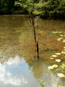 20110503Steinbachtal_Saarbruecken5