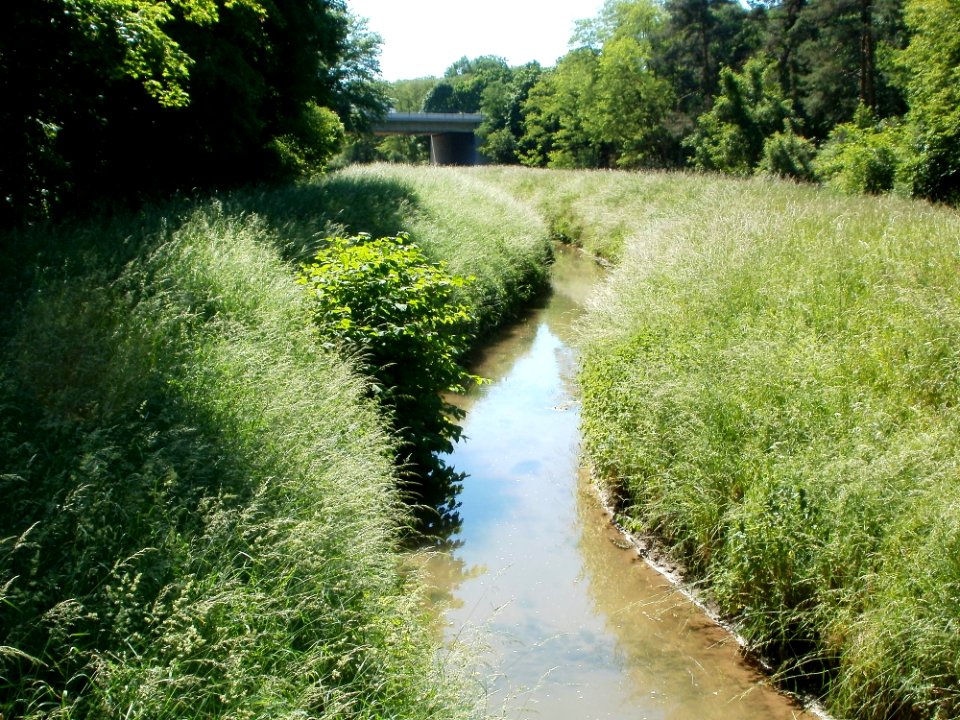 20110525Hartbach